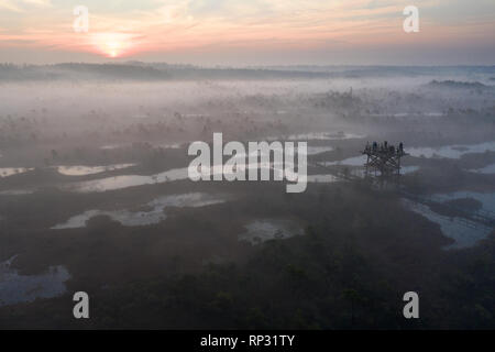 Luftaufnahme von Mannikjarve bog Pools und Inselchen in Endla Naturschutzgebiet, Jogevamaa County, Estland Stockfoto