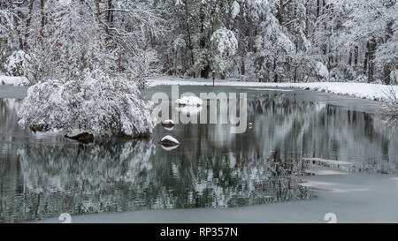 Verschneite Felsen und Bäume Teich nach Schnee Sturm Stockfoto