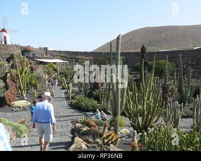 Cesar Manrique erstellt eine beeindruckende Kakteen Garten aus einem stillgelegten Steinbruch in der kargen Vulkanlandschaft Lanzarotes; jetzt eine wichtige touristische Attraktion. Stockfoto