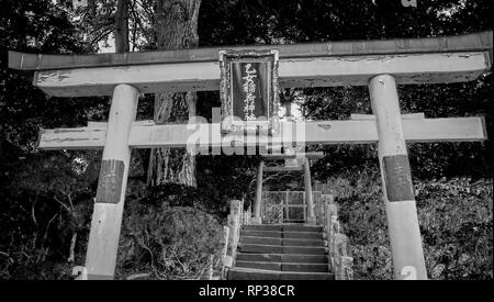 Eingangstor zu Nezu Schrein - die berühmten Shinto Schrein in Tokio Bunkyo Stockfoto