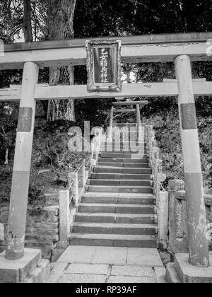 Eingangstor zu Nezu Schrein - die berühmten Shinto Schrein in Tokio Bunkyo Stockfoto