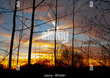 Silhouetten einer blattlosen Zweige auf bunten Sonnenuntergang und bewölkt blauer Himmel mit dem Flugzeug trail als backgrond. Herbst in Finnland. Stockfoto