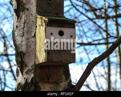 Vogel Nistkasten an einem alten Baumstamm mit groben Rinde in einem Wald mit einem blauen Himmel Hintergrund befestigt Stockfoto