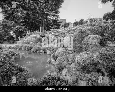 Gärten der Nezu Schrein in Tokio Bunkyo Stockfoto