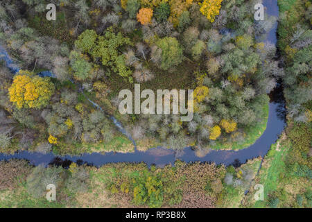 Luftaufnahme der Amme Fluss im Herbst, Europa, Estland Stockfoto