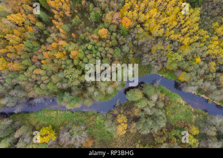 Luftaufnahme der Amme Fluss im Herbst, Europa, Estland Stockfoto