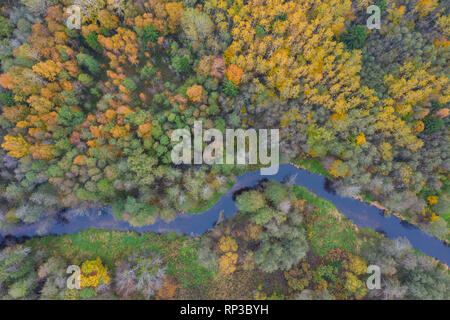 Luftaufnahme der Amme Fluss im Herbst, Europa, Estland Stockfoto