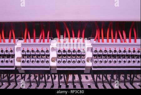 Klemmenblock für industrielle Elektronik. Klemmenblock. Industrielle macht. Rotes und schwarzes Kabel Stockfoto