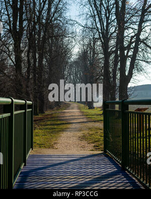 Ein Fußweg über eine kleine grüne Brücke und zwischen Bäumen auf einem sonnigen Tag im Winter Stockfoto