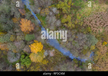 Luftaufnahme der Amme Fluss im Herbst, Europa, Estland Stockfoto