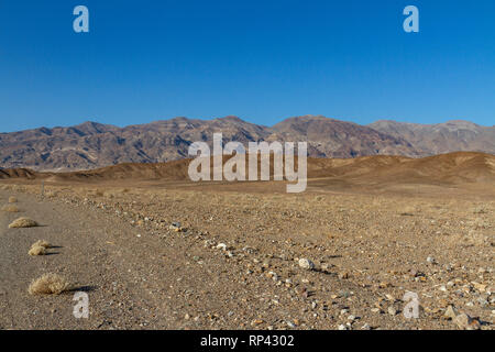 Blick nach Norden von Beatty Road, Death Valley National Park, California, United States. Stockfoto