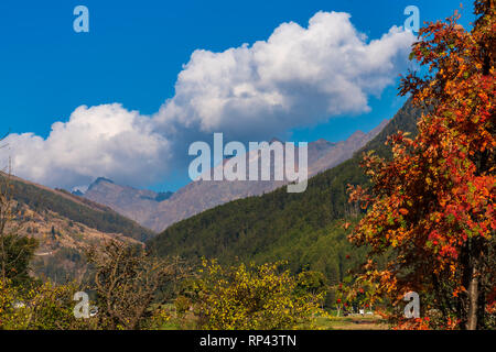 Herbst Blick in Burgeis, Südtirol, Italien Stockfoto