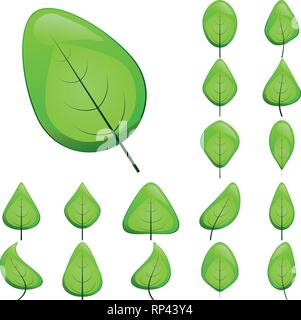 Sammlung von Grün glänzende Blätter Symbole, Vektor illustrationCollection grün glänzende Blätter Symbole, Vector Illustration Stock Vektor