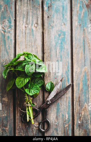 Frische Kräuter. Minze in rustikalem Ambiente. Frische Minze auf Tisch Stockfoto
