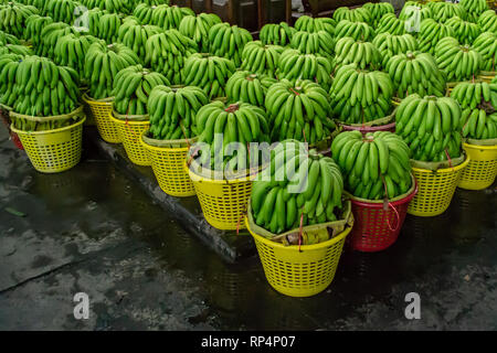 Grüne Bananen in Großhandel frische Markt Stockfoto