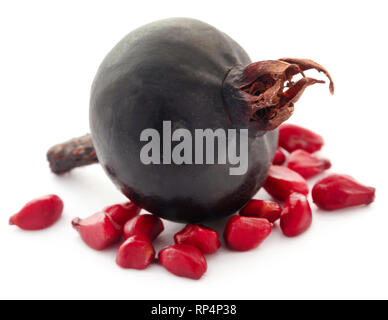 Rosa rugosa oder Strand rose schwarze Frucht mit weißem Hintergrund Stockfoto