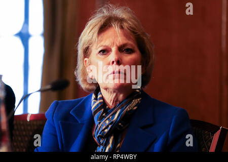 Anna Soubry während der Pressekonferenz gesehen. Ehemalige konservative Abgeordnete Anna Soubry, Sarah Wollaston und Heidi Allen sind auf einer Pressekonferenz nach dem Verlassen der Partei für unabhängige Gruppe gesehen. Stockfoto