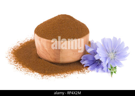 Chicorée Blume und Pulver von Instant Chicorée auf einem weißen Hintergrund. Cichorium intybus.. Stockfoto