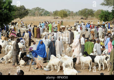 NIGER Zinder, Dorfbewohner verkaufen Vieh auf dem Wochenmarkt Tag in einem Dorf zwischen Maradi und Zinder/Niger Viehmarkt in einem Dorf zwischen Maradi und Zinder Stockfoto