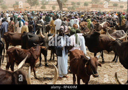 NIGER, Sahel, Zinder, Viehmarkt mit Zebu Kühe Stockfoto