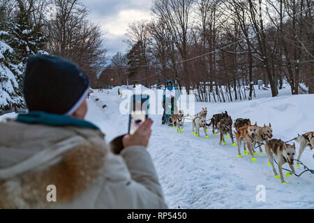 Grand Marais, Michigan - Hundeschlitten racer Andre Longchamps kommt zur Halbzeit der BIS 200, eine jährliche 238-Meilen Rennen von Marquette, Michigan t Stockfoto