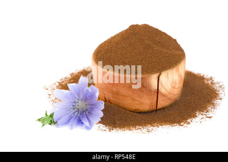 Chicorée Blume und Pulver von Instant Chicorée auf einem weißen Hintergrund. Cichorium intybus.. Stockfoto