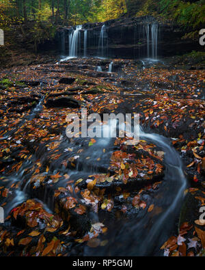 Mohawk fällt im Herbst bei Ricketts Glenn State Park, Pennsylvania Stockfoto