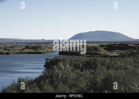 Kalfastrond lava Skulptur um Myvatn See Islands Stockfoto