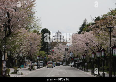 Gasse mit Sakura und schloss schloss Tsurugajo Stockfoto