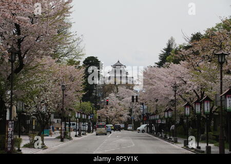 Gasse mit Sakura und schloss schloss Tsurugajo Stockfoto