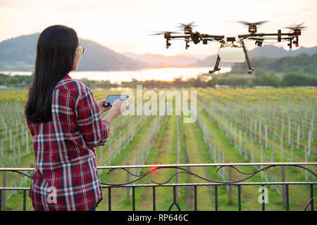 Frau Bauer verwenden Smart Phone Control Landwirtschaft Drohne fliegen Dünger auf die Felder gesprüht, Smart Farm 4.0 Konzept Stockfoto