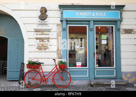 Die Rabbit Hole Cafe auf der schönen Piata Mare in der Altstadt von Sibiu/Hermannstadt in Siebenbürgen, Rumänien Stockfoto