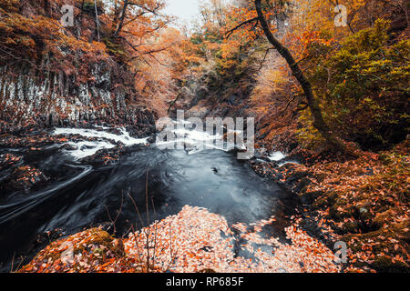 Mountain Stream fließen über felsige Kaskaden von Schlucken fällt im Herbst im Norden von Wales. Großbritannien Stockfoto
