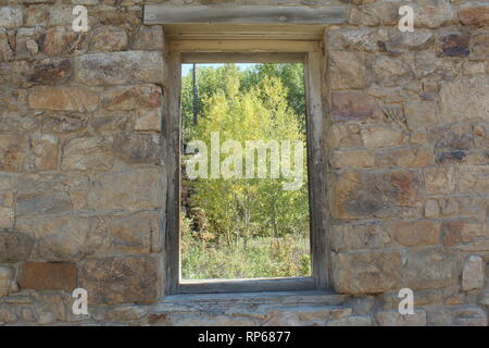 Ein Fenster Ansicht von Aspen Bäume im Herbst in der Colorado Rocky Mountains von einer alten Westen Gold Mining Boom Town Ruinen. Stockfoto
