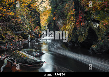 Fairy Glen Schlucht Wasserfall am Herbst im Snowdonia National Park, North Wales, UK Stockfoto
