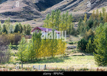 Kleines Haus in der Nähe von Straße Landstraße 31 in Laugaras, Island in Golden Circle mit Herbst Laub auf den Bäumen gelbe Blätter Landschaft Stockfoto