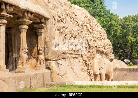 Abstieg des Ganges ist ein Denkmal an Mamallapuram. Messung von 29 m × 13 m, es ist eine riesige Open-Air-rock Relief auf zwei monolithischen Felsen Felsen geschnitzt. Stockfoto