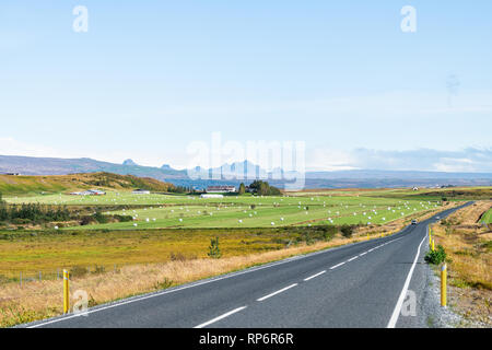 Grünes Gras wächst in Bauernhof wiese feld in der Nähe von Reykholt in friedlichen Island Landschaft und Himmel auf Golden Circle mit Bergen und Straße Landstraße 35 Stockfoto
