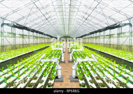 Landwirtschaftliche Roboter Wasser spritzen oder Unkraut in den hydroponischen Garten erkennen, Technologie Smart farm Konzept Stockfoto