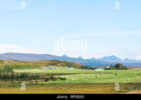 Grünes Gras wächst in Bauernhof wiese feld in Husavik Island Landschaft und Himmel auf Golden Circle mit Bergen in der Nähe von Straße Landstraße 35 Stockfoto