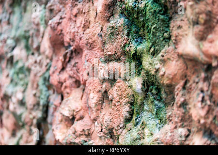Closeup abstrakte Muster mit Bokeh der alten bunten Steinmauer in Lviv, Ukraine Altstadt Übersicht detail und Textur mit roten und grünen Farbe Stockfoto