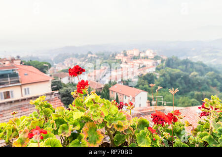 Chiusi Scalo Häuser Gebäude in Umbrien, Italien oder in die Toskana mit Stadt Stadtbild und rote Blumen im Garten Vordergrund konzentrieren Stockfoto