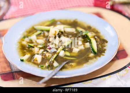 Traditionelle russische oder ukrainische Sauerampfersuppe mit gehackten Kartoffeln und grüne Gurken in Gemüsebrühe auf dem Teller Schüssel mit Löffel closeup Stockfoto