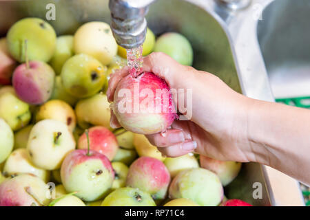 Viele grün gelb oder pink lady Äpfel oder Waschbecken mit der Hand waschen ein Wasserhahn, Detail und Textur für die Verarbeitung in home Edelstahl Stockfoto