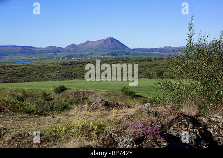 Kalfastrond lava Skulptur um Myvatn See Islands Stockfoto