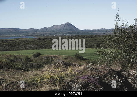 Kalfastrond lava Skulptur um Myvatn See Islands Stockfoto