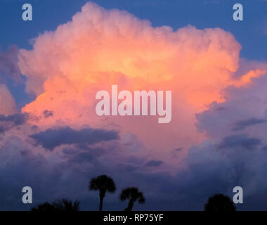 Ein dunkler blauer Himmel wird durch eine orange und rosa Wolke, wie die Sonne in Florida, USA aufgehellt. Moleküle und kleine Partikel in der Atmosphäre dieses farbenfrohe Wirkung manchmal verursachen als die Sonne näher an den Horizont hinab. Stockfoto