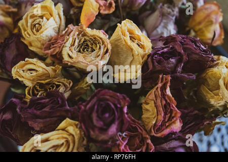 Getrocknete Blumenstrauß aus Rosen Stockfoto