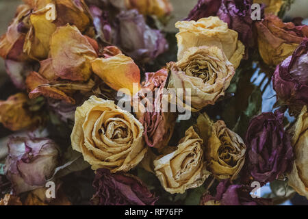 Getrocknete Blumenstrauß aus Rosen Stockfoto