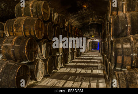 Frankreich COGNAC SEP 2018: Blick in die Keller der Otard Cognac Weingut der Stadt. Die Stadt ist ein Ort, an dem der Cognac trinken hergestellt wird Stockfoto